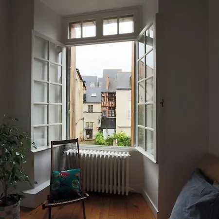 Bright Charming Flat #placeplumereau #tours Appartement